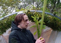 Сегодня мир отмечает День против фашизма и антисемитизма