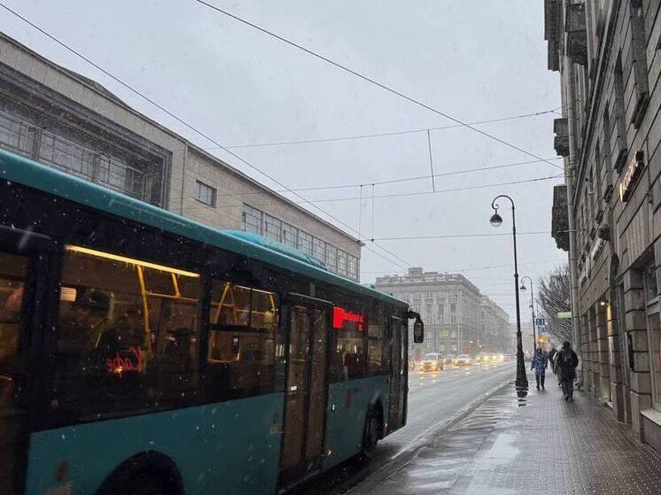 Петербуржцам спрогнозировали мокрый снег к середине ноября
