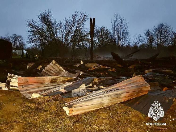 Из-за утечки из газового баллона в Тверской области начался пожар
