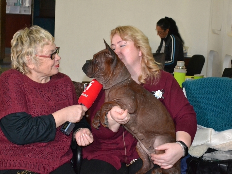 Человеческие истории о братьях меньших от главного зооэксперта Крыма Татьяны Шаманаевой