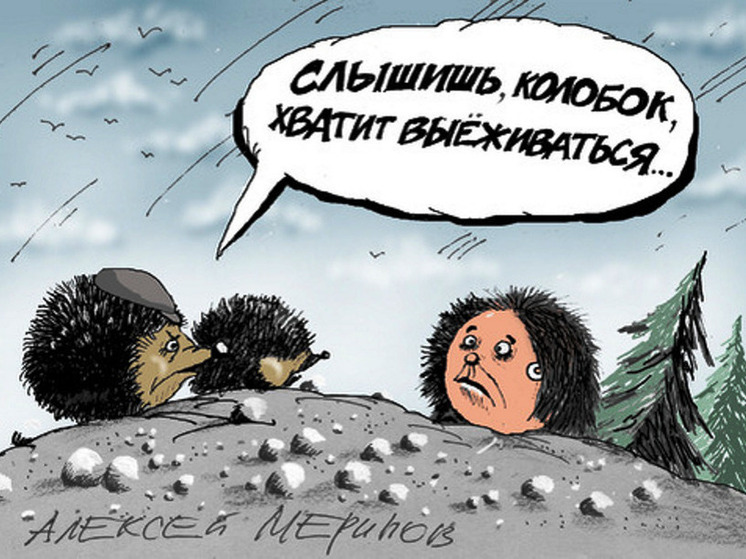 7 анекдотов про ежей