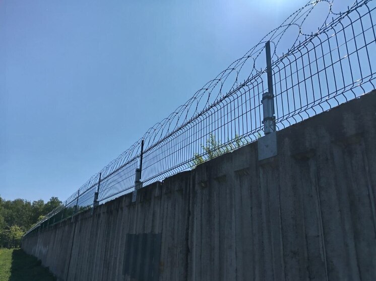 Академия «Динамо» потратит 39 миллионов на охрану своих объектов в Петербурге