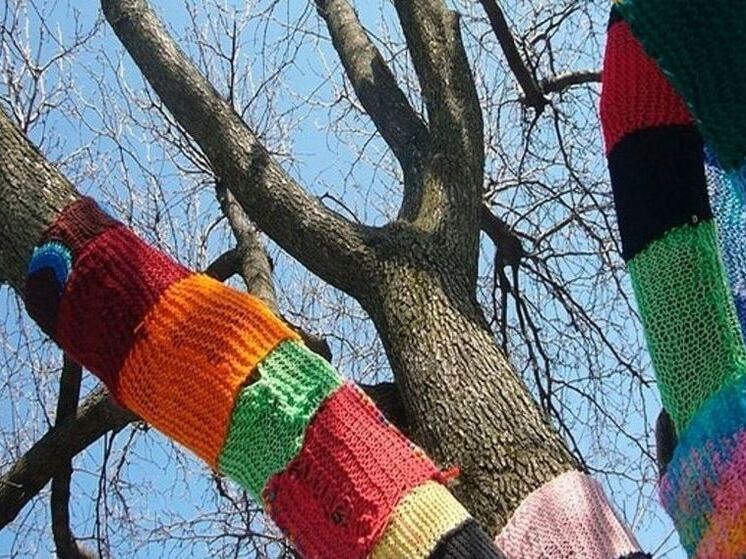 Сосновоборцам предложили нарядить деревья в вязаные одежды
