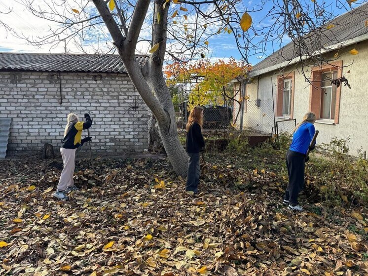 Юнармейцы из херсонской Марьяновки помогли пенсионерке по хозяйству