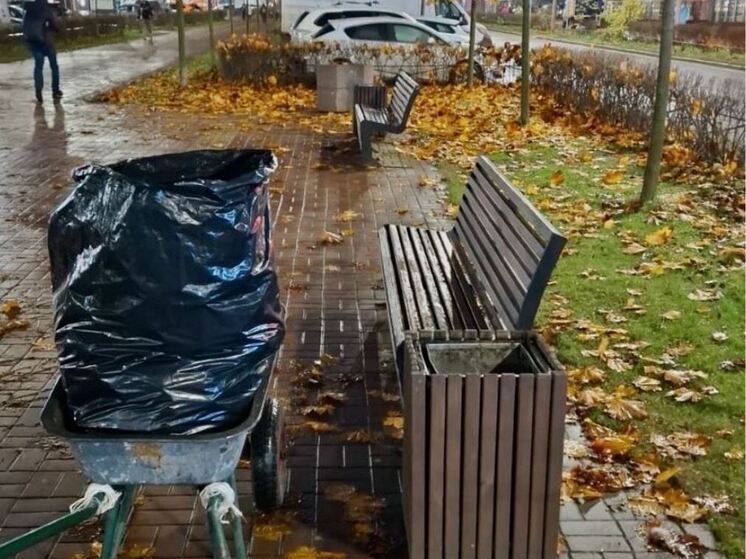 В Мурино прошла общегородская генеральная уборка