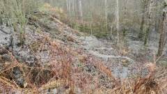 Журналисты понаблюдали, как заозерская канализация нарушает законы физики