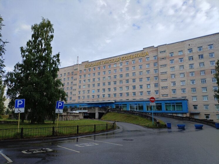 Елизаветинская больница потратит на питание пациентов 40 млн рублей