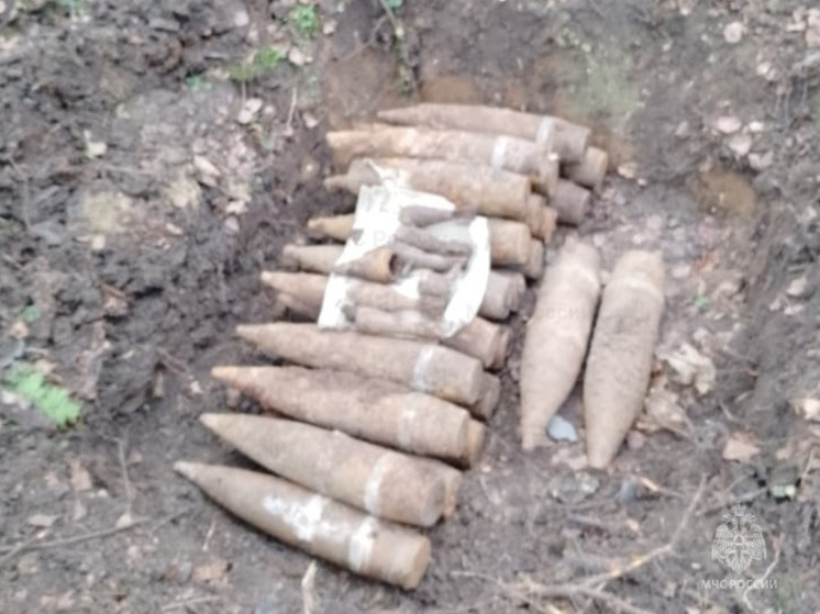  В Бухловке под Жуковом уничтожили артснаряды