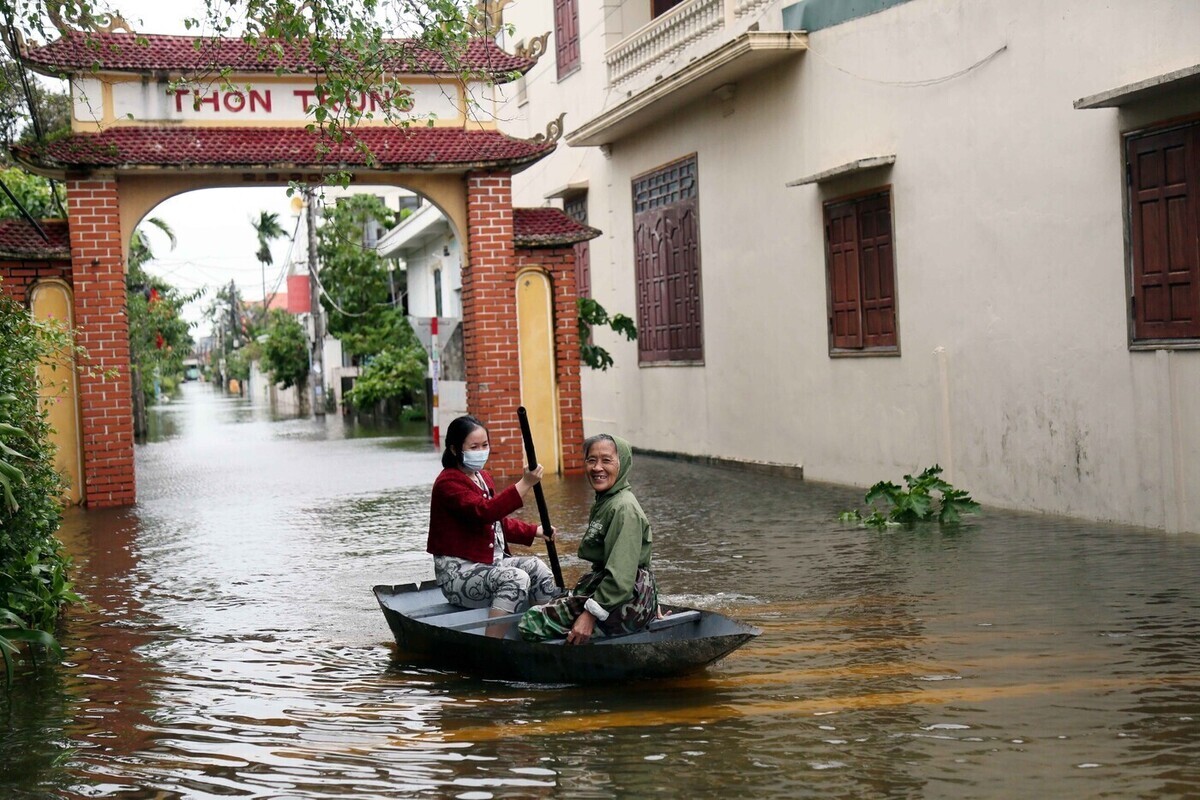 Жуткие ядовитые жуки атаковали россиян на популярном курорте