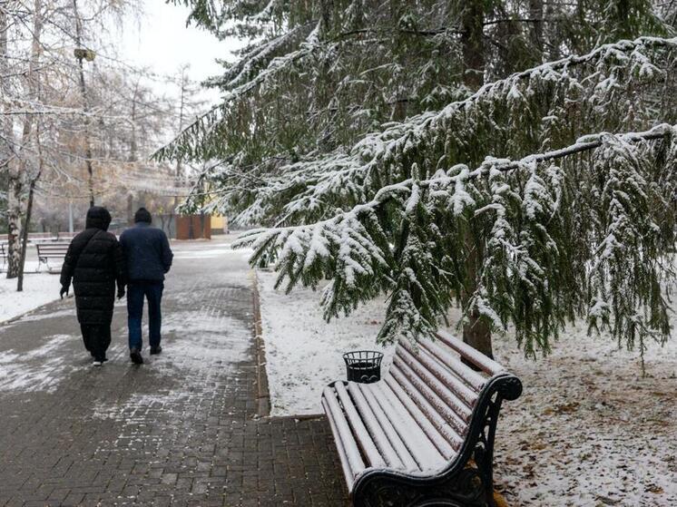 С дождя и мокрого снега начнется рабочая неделя в Челябинской области