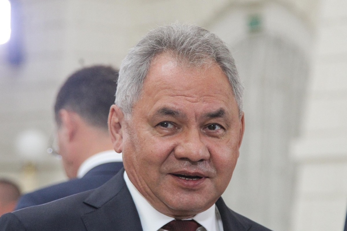 Шойгу с делегацией прибыл в Каир