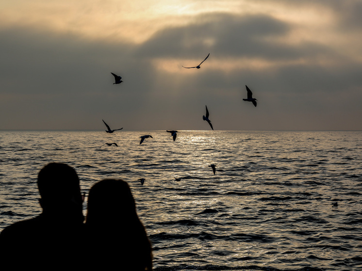 Кравченко: в Новороссийске объявлена угроза применения безэкипажных катеров