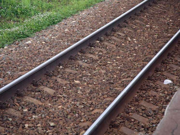 В Словакии сообщили, что один из столкнувшихся под Братиславой поездов мог проехать на красный