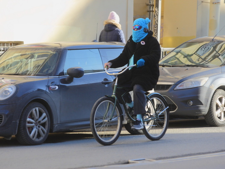 The State Duma proposes to include free meningitis vaccination in the national calendar.