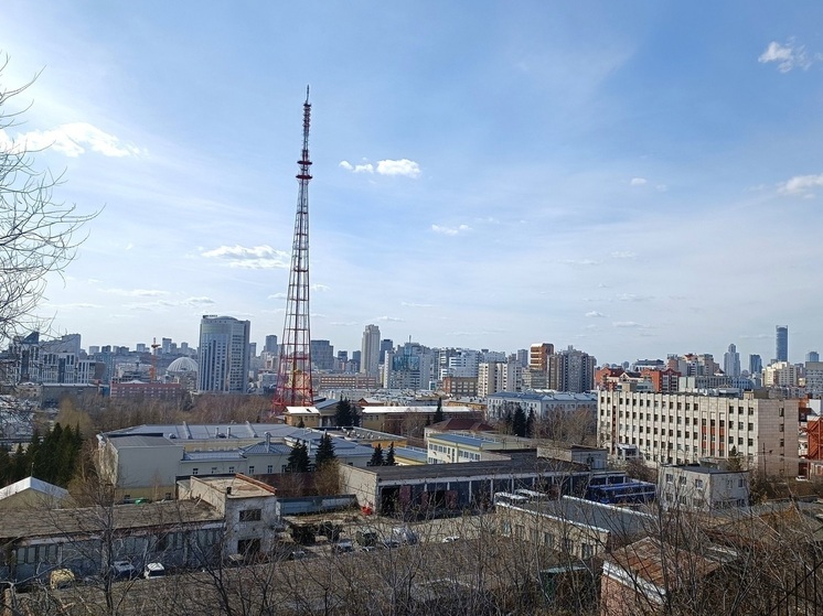 В Екатеринбурге предложили открыть брачное агентство для участников СВО