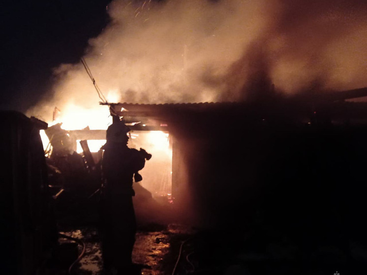 В алтайском селе при пожаре на двух участках погибли куры