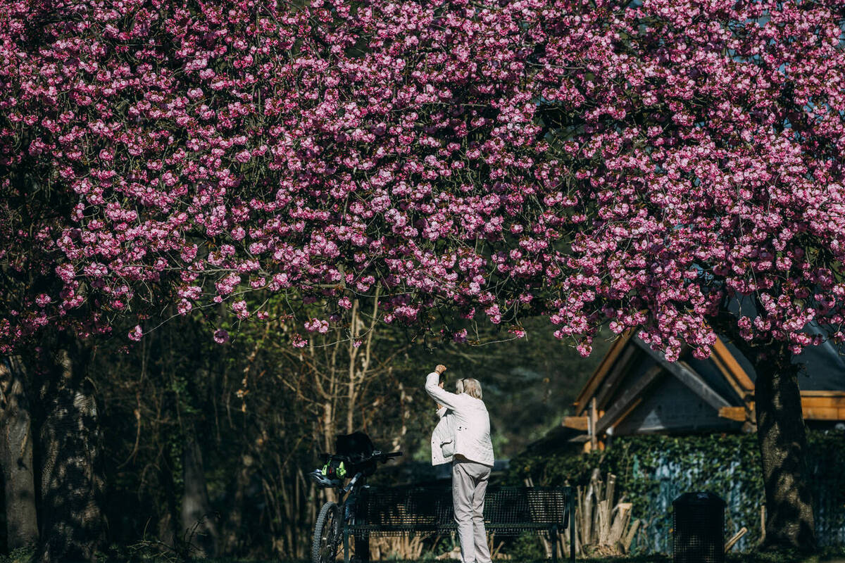 В Японии в ближайшее время может произойти мощное землетрясение