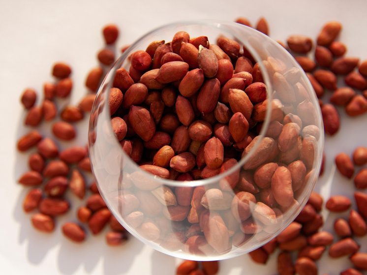 Учёные из Маастрихтского университета (Нидерланды) провели одно из первых исследований, где применили точные методы визуализации мозга