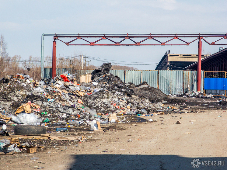  В городе Белово, расположенном в Кемеровской области, планируется масштабная кампания по устранению нелегальных мусорных полигонов