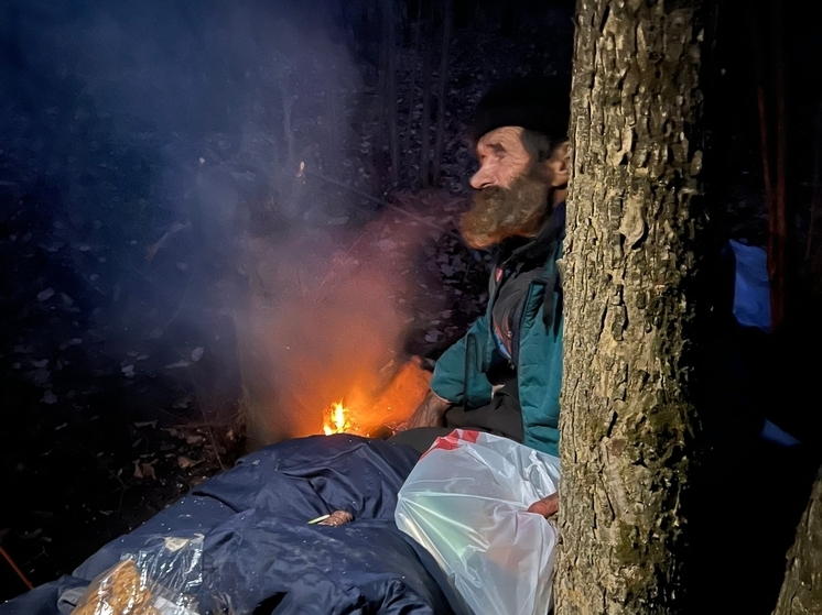 Волонтёры нашли пожилого мужчину, живущего в лесу под Курском