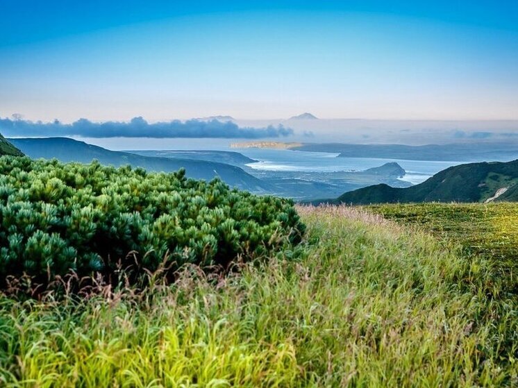 Kyodo: японский министр Кикаваде получил выговор за то, что назвал Курилы «заграницей»