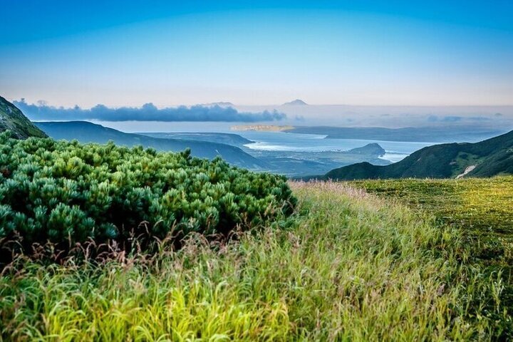 В Японии министр получил выговор после того, как назвал Курилы "заграницей"