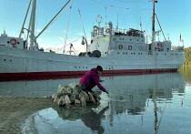 Научные институты Иркутска завершили экспедиции, которые проводились в теплое время года