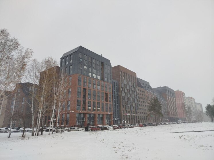 Новосибирская область возглавила рейтинг СФО по падению ипотеки на новостройки