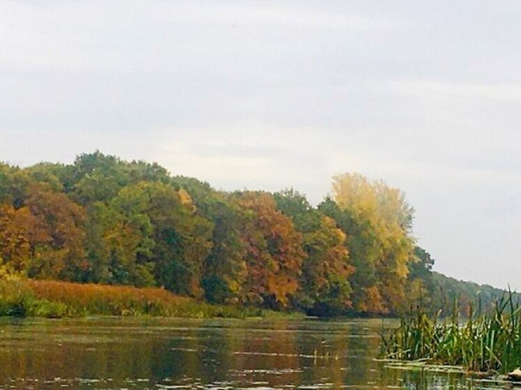 Пять часов действовала опасность атаки БПЛА в Воронежской области
