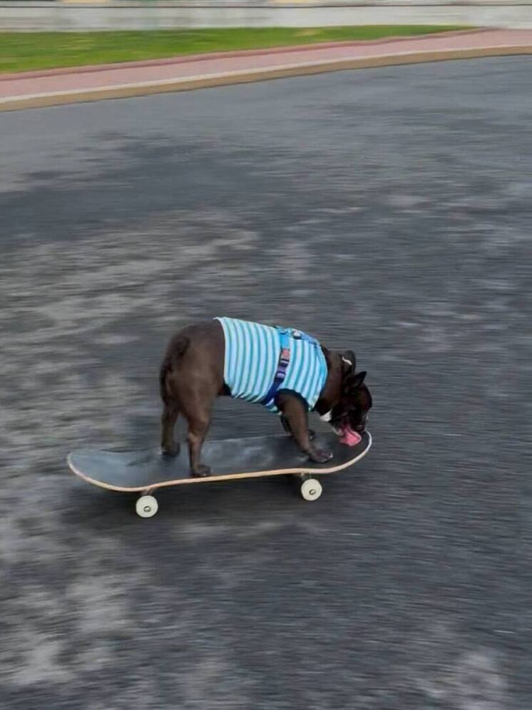 В Красноярске появится новый скейт-парк на улице Норильской