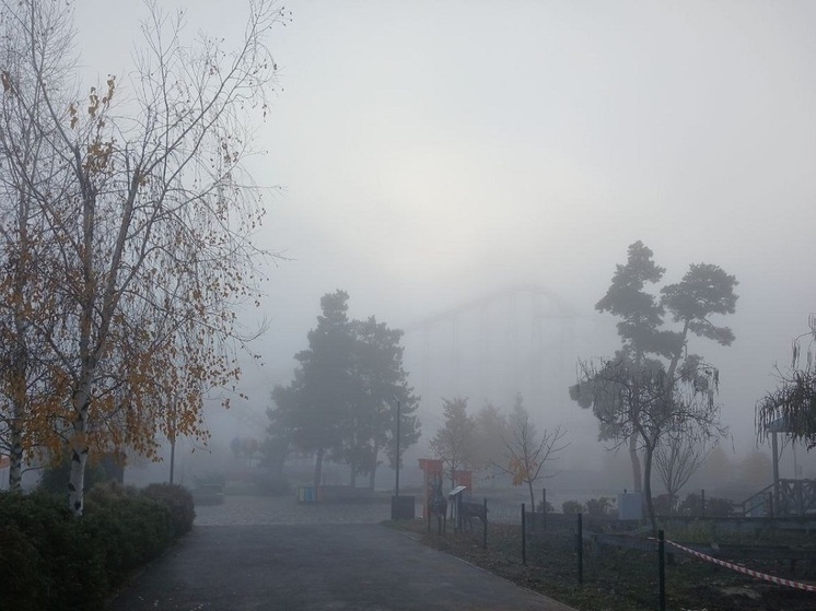 Туман и потепление до +16 градусов ожидаются в Волгоградской области