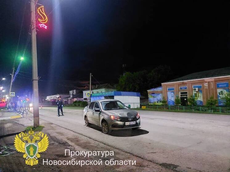 Суд отправил новосибирца в колонию за гибель подростка на пешеходном переходе