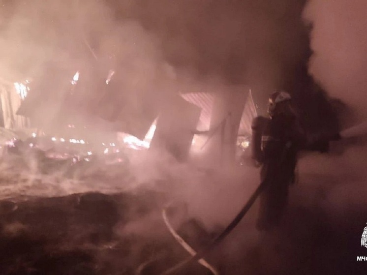 Крупный пожар произошел в частном подворье на Алтае