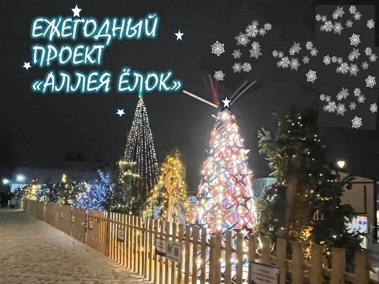 В Суздале стартовала регистрация на праздничную «Аллею ёлок»