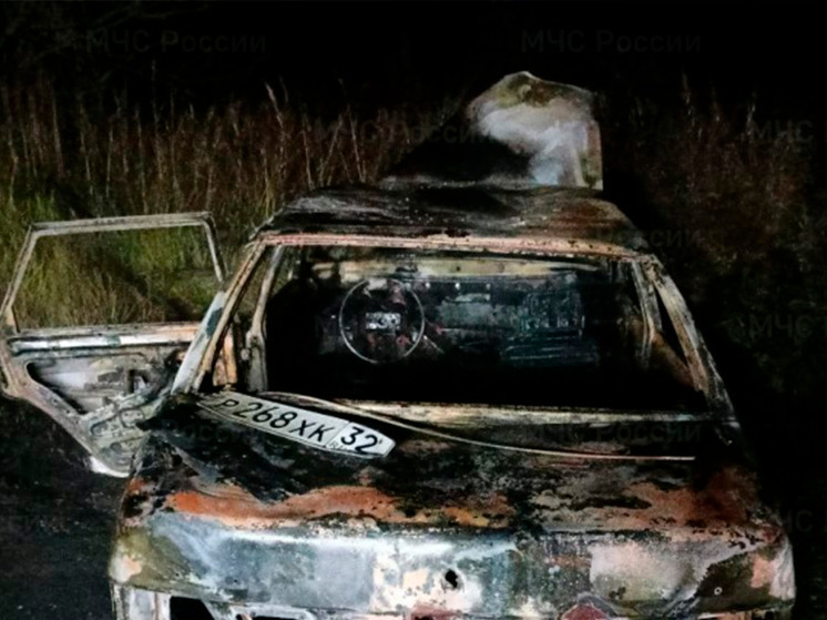 В брянской деревне Тростань сгорел автомобиль