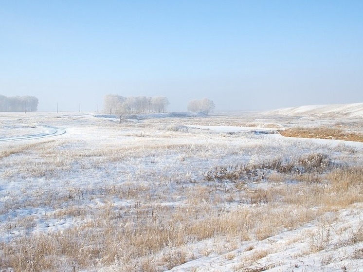 Завтра птицы расскажут о погоде в Калмыкии