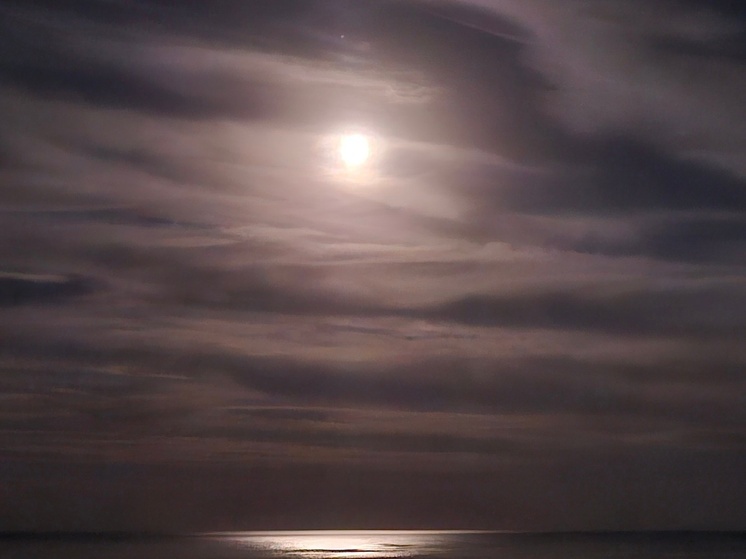 Ночью 10 ноября на территории Воронежской области БПЛА не обнаружены