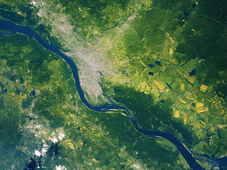 Верховный суд РФ пересмотрел дело о 8 тыс. га леса под Самарой