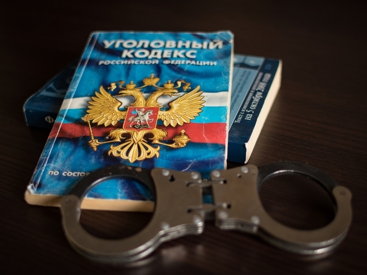 Жительницу Сортавалы будут судить за ложное заявление о краже