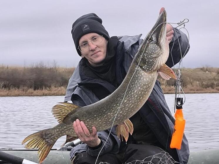 Рязанский рыбак закрыл сезон крупной щукой на затоне Оки