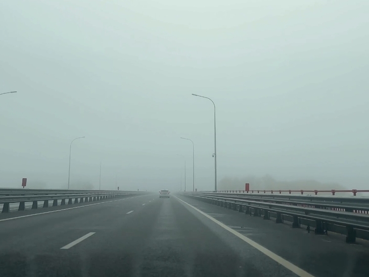 Водителей Ростовской области предупредили о плохой видимости из-за тумана