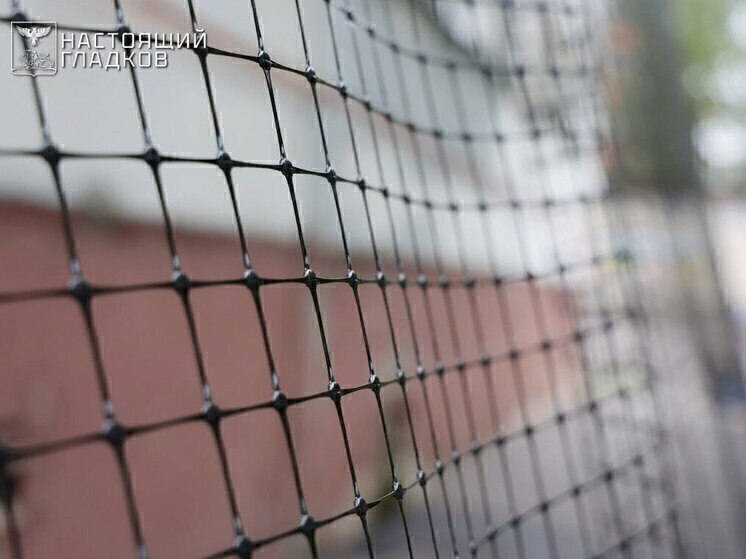 Гладков: в белгородском приграничье закрыли антидроновой сеткой 205 объектов