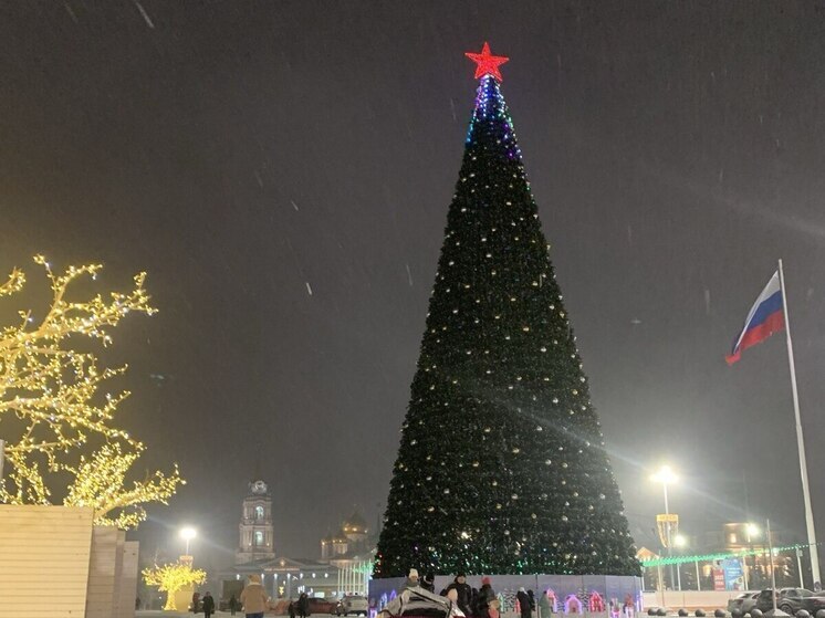 Беспалов пообещал сюрприз на главной новогодней елке Тулы