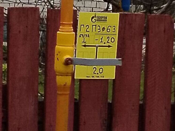 В три населенных пункта Лужского района пришел газ