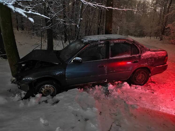 Toyota врезалась в дерево в Новосибирске — два человека пострадали