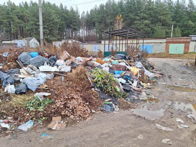 Свалку ТКО у жилого дома в селе Русский Камешкир ликвидировали по требованию прокуратуры