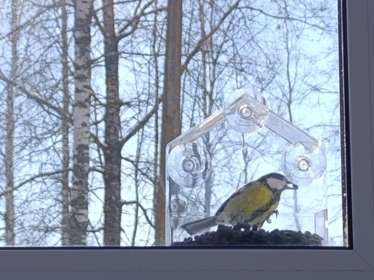 Большая Валдайская тропа отправляется на зимовку