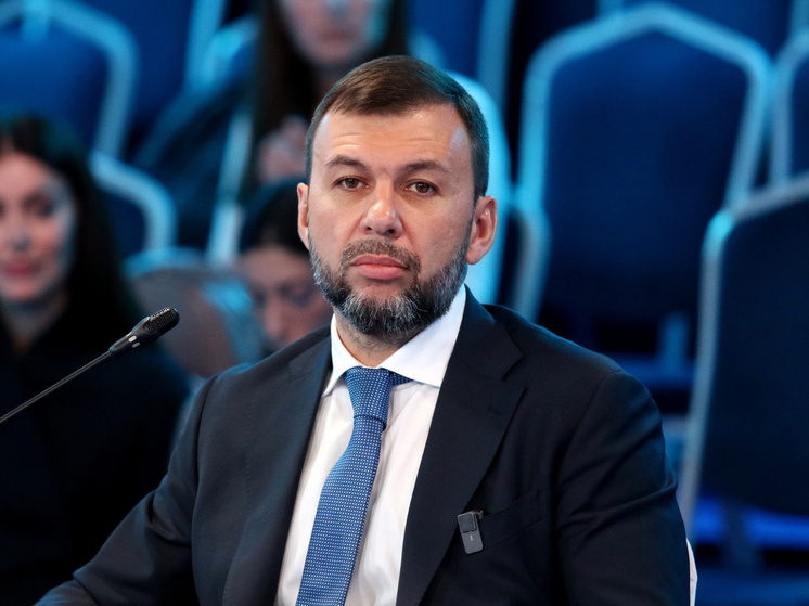 Атака ВСУ в районе Родинского сорвана, Димитров остается в окружении