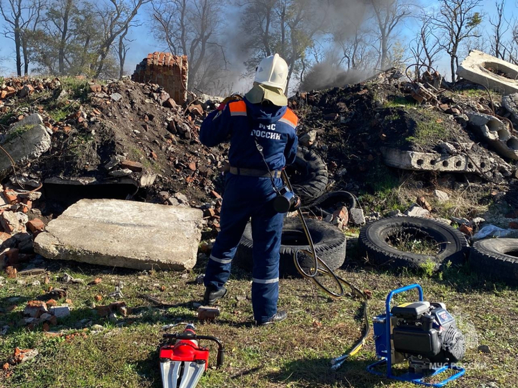 В Ростовской области за неделю потушили более 80 пожаров