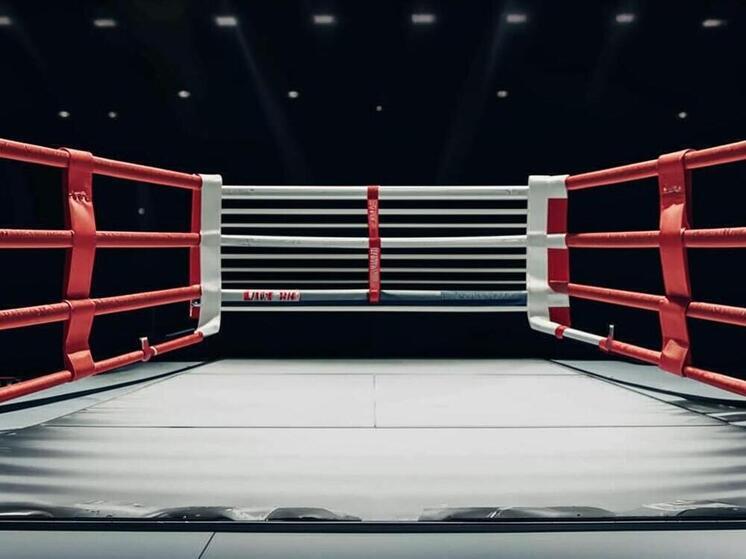 Дагестанские самбисты завоевали три медали на чемпионате мира в Бишкеке